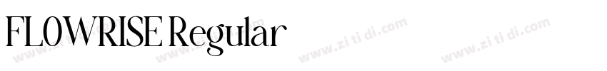 FLOWRISE Regular字体转换